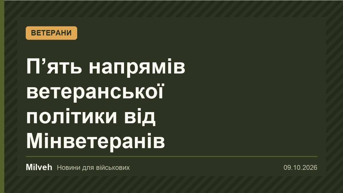 Мінветеранів представило партнерам п’ять ключових напрямів ветеранської політики